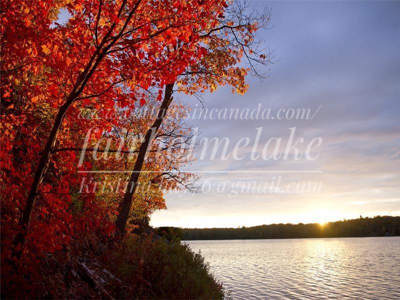 Private Waterfront Muskoka Cottage ~ Sleeps 10 ~ Dog Friendly ~ Kayaks, SUPs & Fishing