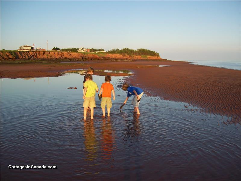 Desired Haven Cottages Charlottetown Cottage Rental Pl 18535