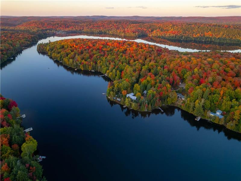 Algonquin Hideaway / Muskoka Retreat For Large Family