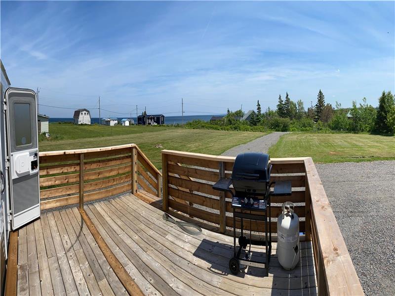 Port Howe NS Beach Life