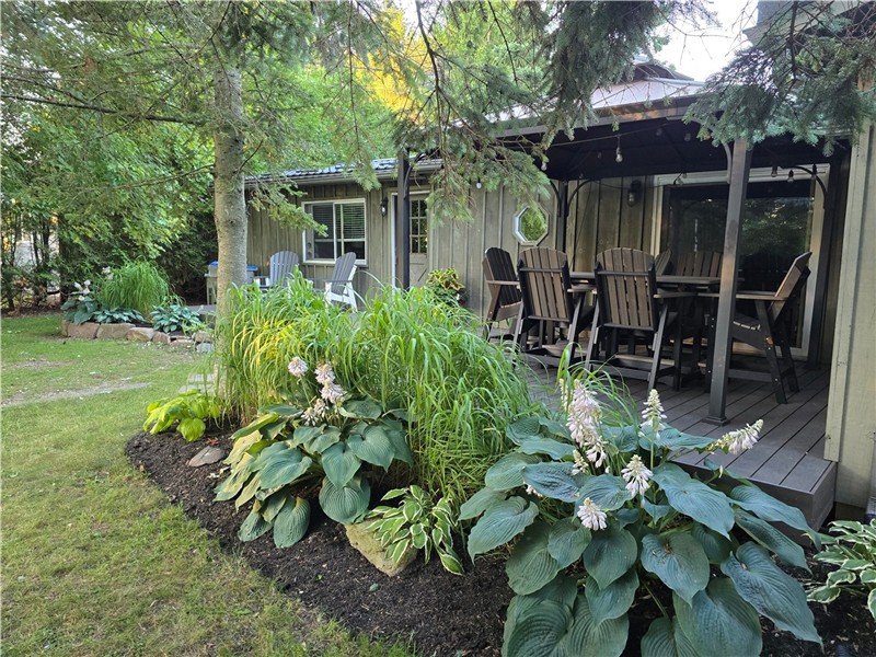 GreenLodge Cottage GRAND BEND, by the White Squirrel; available weekends, or weekdays, or full weeks