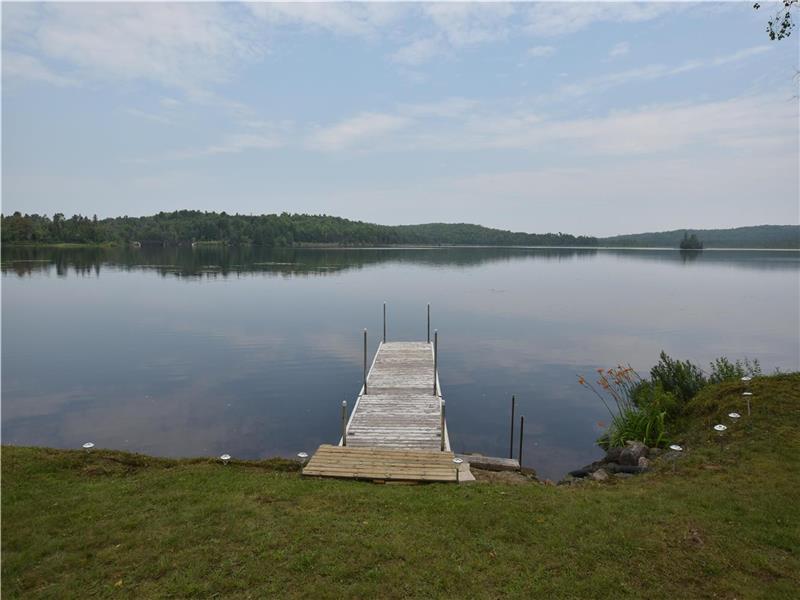 OCR - White Birch Breeze F569, Forest Lake, South River