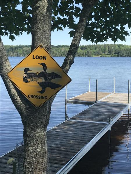 Angevine Lake Retreat