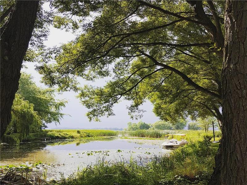 NOW BOOKING! Prince Edward County Waterfront Cottage Near Sandbanks Beach with beach pass and kayaks