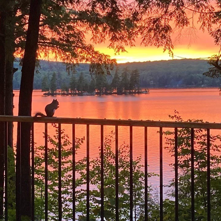 Charming, quiet cottages for couples (adults) - HUGE SPRING DEALS - UP TO 33% OFF NOW