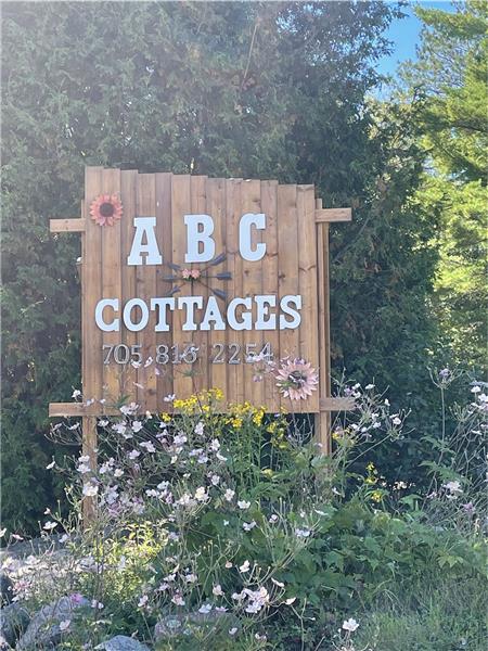 Cozy Cabins in Northern Ontario
