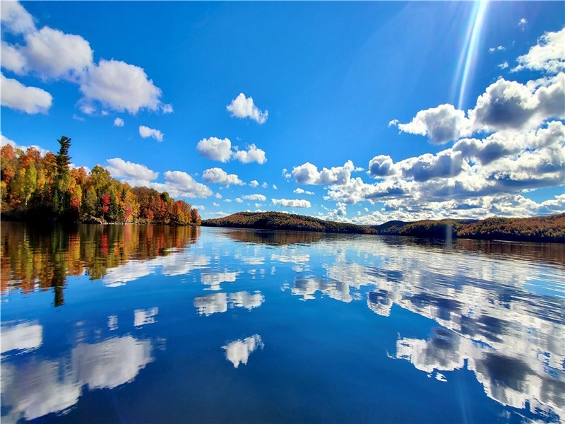 Jogi's Den - Four Season Waterfront, nestled between Haliburton & Bancroft!