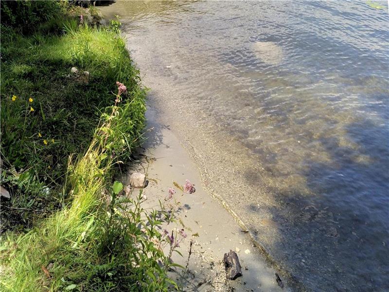 BURRIDGE LAKE COTTAGE-special $1000/wk, max 4: Up to 6 with additional $50/night