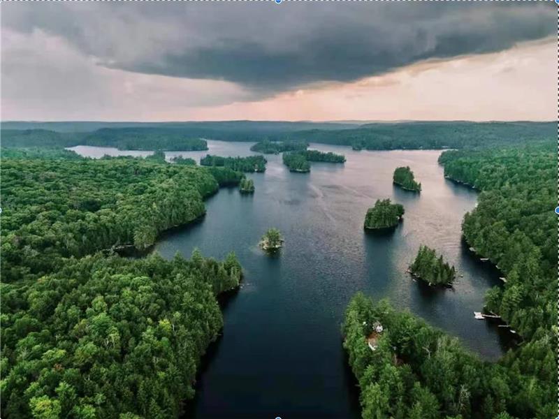 Cottage au bord de l'eau de l'Ontario sur le lac Clear - STARLINK internet Crown Land Great Fishing