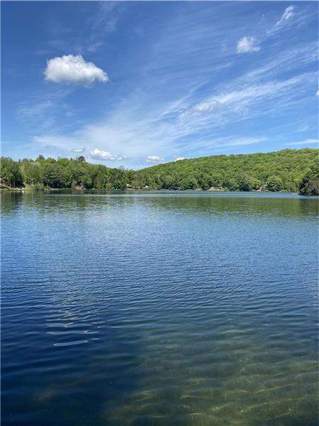 Amazing and Beautiful Cottage- Siddon Cottage, A Perfect Getaway Any Time of the Year ?