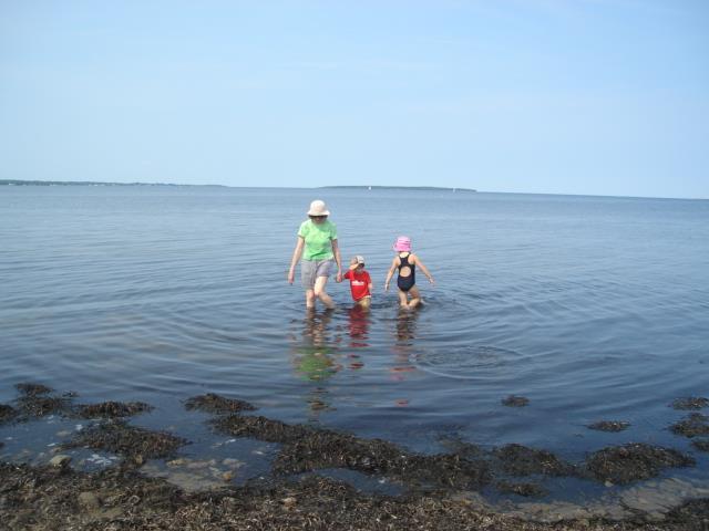 Retraite privée sur la plage tranquille