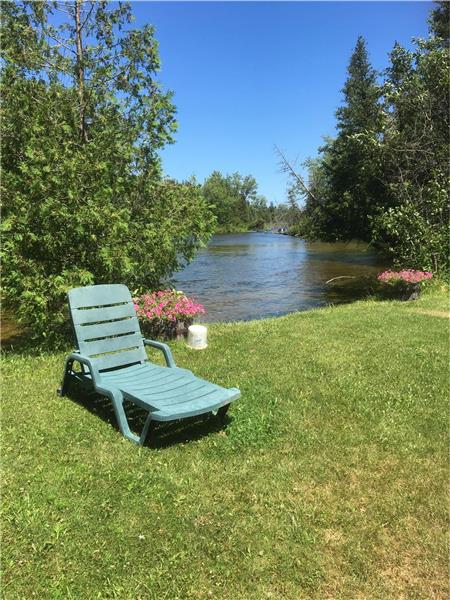 Birding on the Talbot
