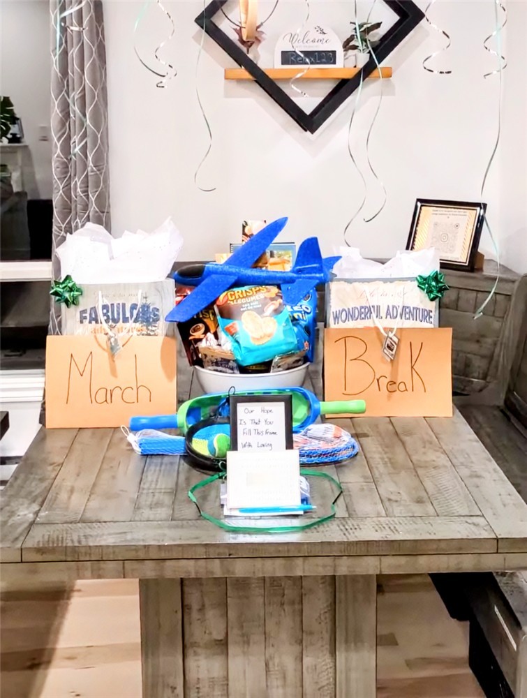 March Break Family Escape: Sauna,Fire Pit, Pet-Friendly, EV Charger, Winter Igloos,Special Setups!