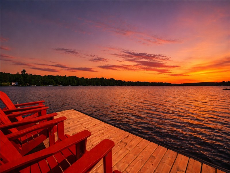 Nouvelle ferme de luxe au bord du lac | 4+ acres privés, rivage de 400 pieds | 2 très grands lits