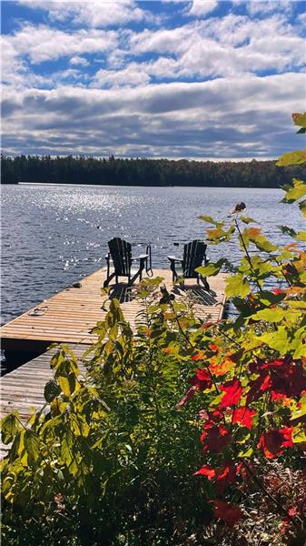 The Firefly Cottage - cute, cozy and a treehouse style view.