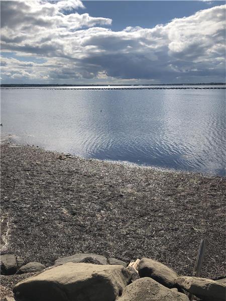 Les brises de Bayview