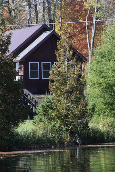 Fernleigh Lodge Barn Cabin