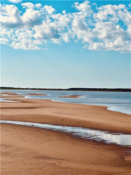 Maison de Plage de Spruce Cliff