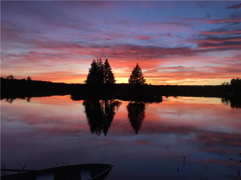 Squirrel Away Cottage - Quiet Lake, Outdoor Hot Tub, Sauna, Canoe, Kayaks, SUPS, 500 DVDs