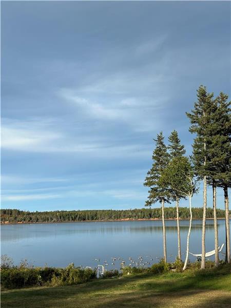 Chalet sur la rivière Cardigan