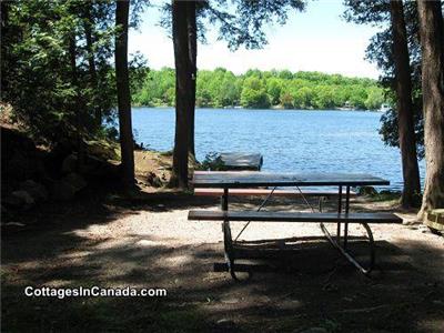 Charleston Lake - Private, Great Waterfront With Beach + WIFI. TWO WEEKS LEFT SEPT 2023