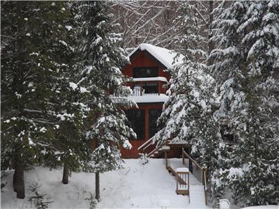 Miller Lodge, Private Getaway 25 min. from Downtown Ottawa - hot tub