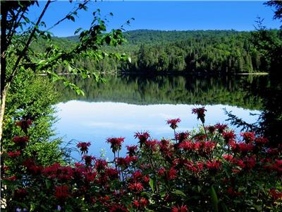 300 acres private estate around Lake Creux