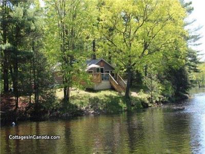Retrieve Log Cabin Deer River Belmont