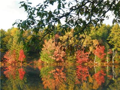 Beautiful Muskoka Cottage, SPECTACULAR Waterfront, OPEN Fall Weekends