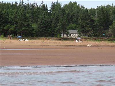 July Openings, Please SHARE Listing with Friends/Family Private beach A/C Fire pit Kayaks 2 km-ferry
