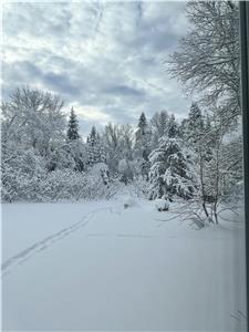 The Pines of Lac des Iles - Cottage Home. Canoe, Kayak, Hike, Swim, Fish, Ski.