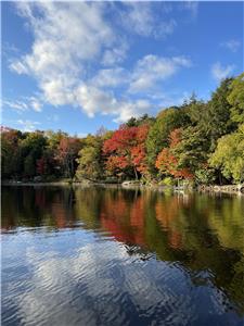 Pine Cottage - Lake of Bays