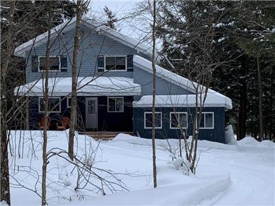 Paradise in the Woods - Beautiful Cottage w/ Large Dock, Hot Tub, Games Room, Pet-Friendly