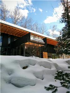 The Bear Stand: award-winning lakeside cabin on 99 acres w/private hiking trails, softub+sauna, wifi