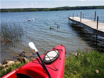 Lakefront Cedar Haven - Canoe,Kayak, AC, Wifi - 1 hr from Toronto