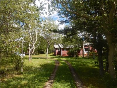 Lumsden Central Newfoundland And Labrador Cottages For Sale By