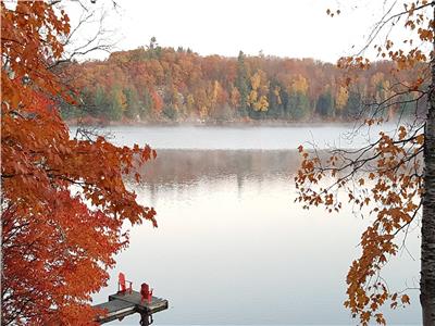 Serene and Beautiful Muskoka Retreat with BEACH, HOT TUB & SAUNA