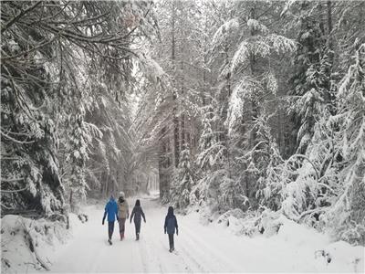 SERENDIPITY LODGE - nr Algonquin, sauna, wood stoves, stunning views & trails!