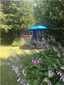 Private Sunset Cottage on Balsam Lake