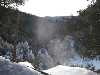 Cozy Up! Christmas at the Cottage: Bruce Trail, Beaver Valley, and Eugenia Falls