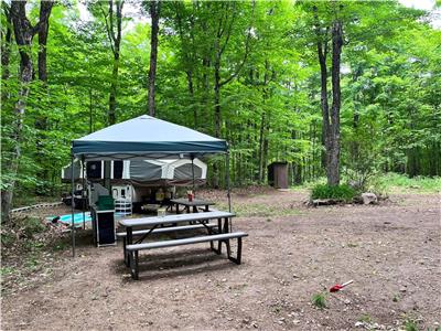 Perfect Nature Retreat on 8 acres and a large camp\rv space just outside minden!