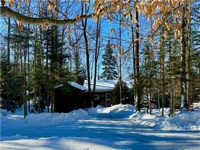 Birches by the Beach - Pet-Friendly Cottage in Bancroft w/ Sand Beach, Watercraft and More!