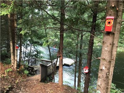 Relaxing Waterfront Cottage in Haliburton - direct access to 3 lake chain
