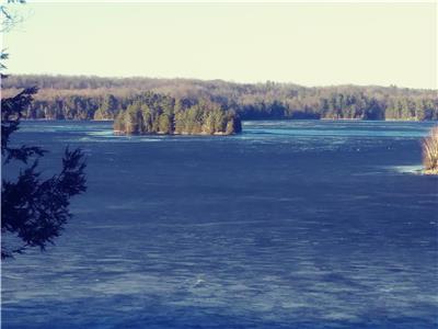 Loads of Privacy on Big Crosby Lake
