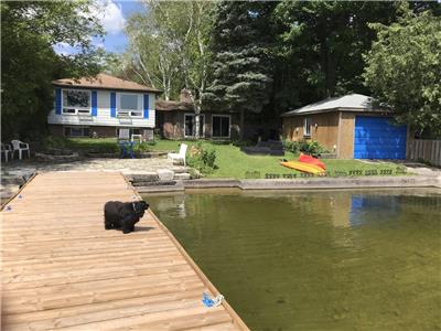 Waterfront Cottage for Rent on Bass Lake In Orillia