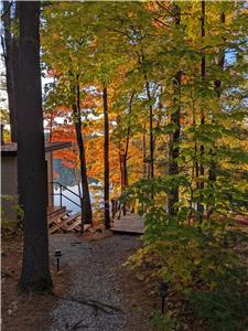 Pine Shores - Book for Beautiful Fall Colours