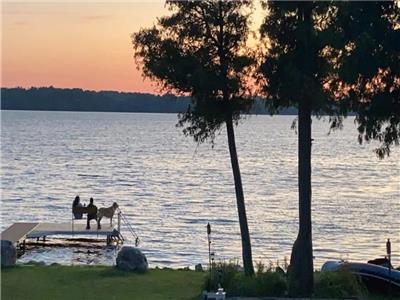 WATERFRONT COTTAGE rental ( SHORT TERM WINTER RENTAL IS AVAIABLE  (Oct. 2023-April,2024)