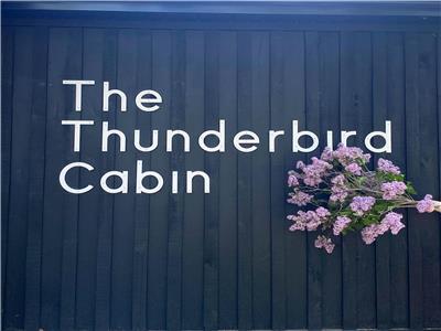 The Thunderbird Cabin