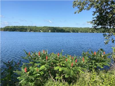 Maison Macalken sur le lac Blue Sea