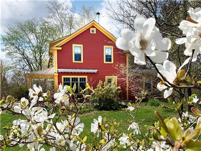 Rose Cottage-Charming, Comfortable & Ocean Breezes